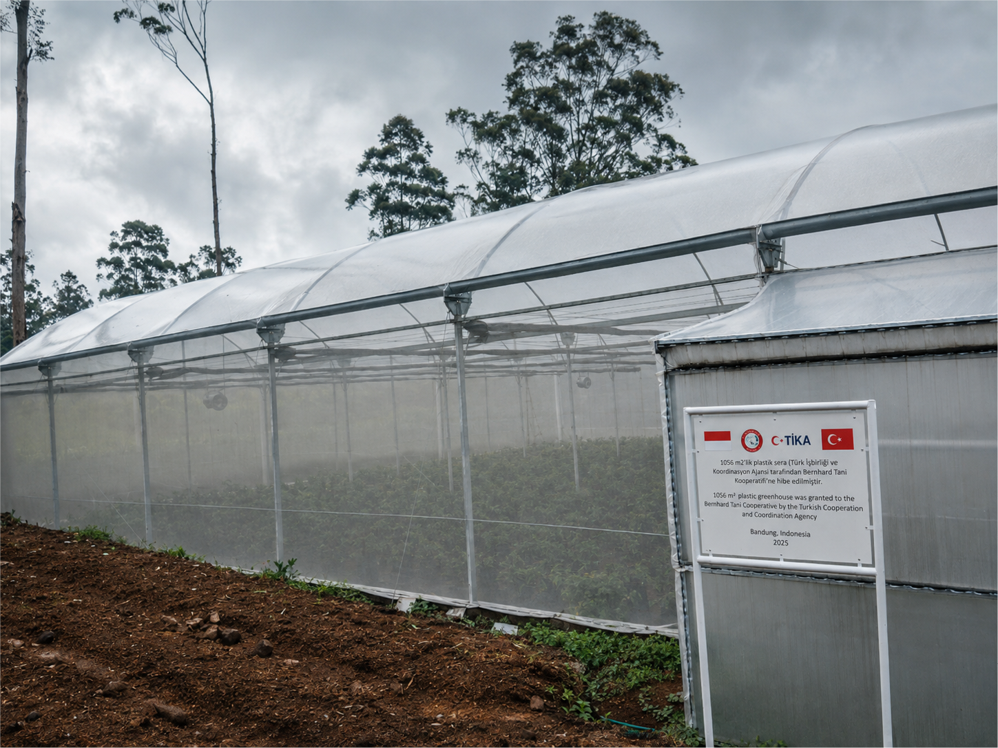 Greenhouse Development snapshot 3