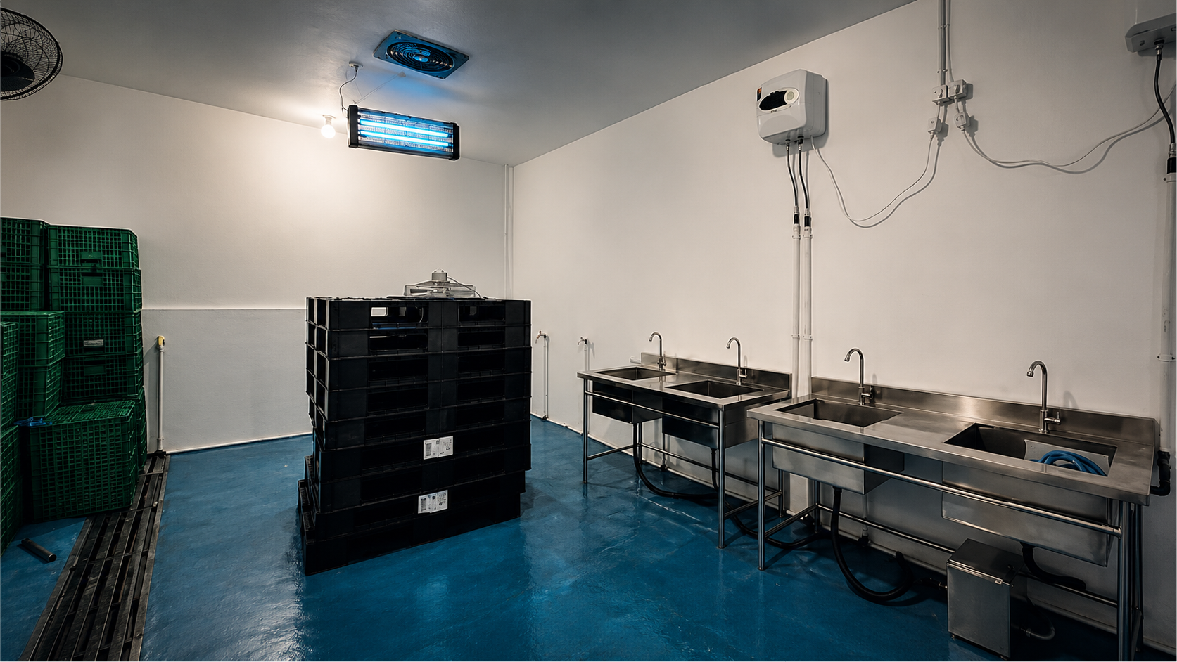 MBG Kitchen Development snapshot 2